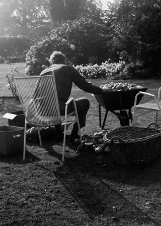 Apple Harvest, first web Copyright ⓒ 2008 Cate McRae; All Rights Reserved reserved