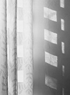 sunlight through curtain, copyright ⓒ Cate McRae 2008 all rights reserved