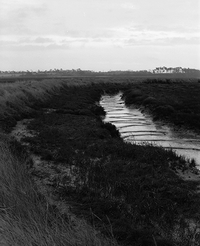 Curve, Copyright ⓒ 2008 Cate McRae; All Rights Reserved reserved