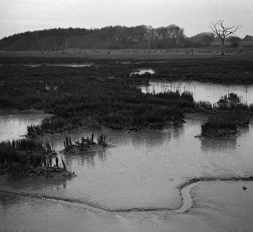 Estuary, East Anglia 1, Copyright ⓒ 2008 Cate McRae; All Rights Reserved reserved