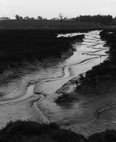 Estuary, East Anglia 2, Copyright ⓒ 2008 Cate McRae; All Rights Reserved reserved