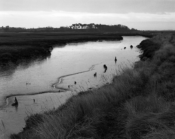 Estuary, East Anglia 4, Copyright ⓒ 2008 Cate McRae; All Rights Reserved reserved
