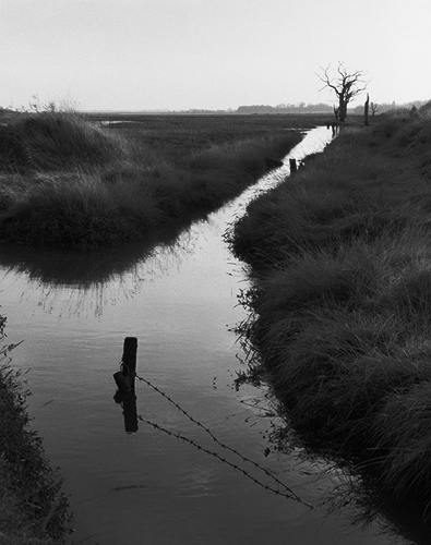 Full Tide, East Anglia, Copyright ⓒ 2008 Cate McRae; All Rights Reserved reserved