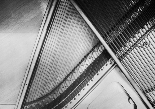 Piano Strings, Copyright ⓒ 1998 Cate McRae; All Rights Reserved reserved