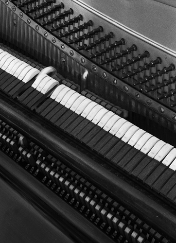 Piano Hammers2, Copyright ⓒ 1998 Cate McRae; All Rights Reserved reserved