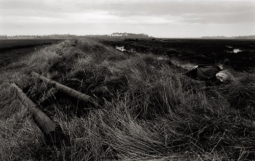 On the Dyke (Morning light), Copyright ⓒ 2007 Cate McRae; All Rights Reserved reserved