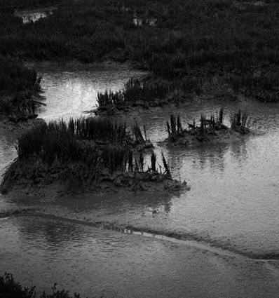 Mysterious Estuary1, East Anglia, Copyright ⓒ 2008 Cate McRae; All Rights Reserved reserved