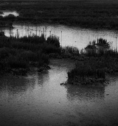 Mysterious Estuary2, East Anglia, Copyright ⓒ 2008 Cate McRae; All Rights Reserved reserved