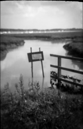 distant copyright Cate McRae 2008; all rights rewerved