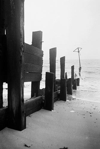 Seashore, Copyright ⓒ 2008 Cate McRae; All Rights Reserved