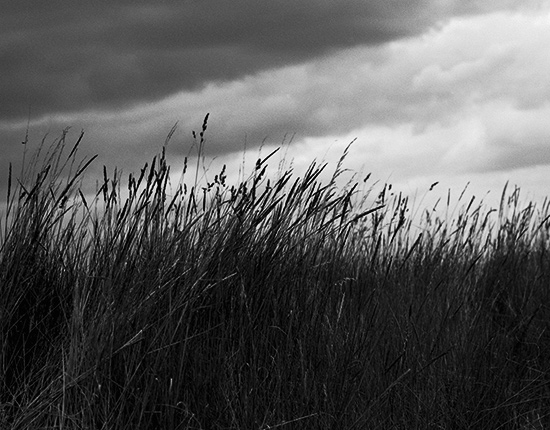 Storm Brewing, East Anglia, first web Copyright ⓒ 2007 Cate McRae; All Rights Reserved reserved