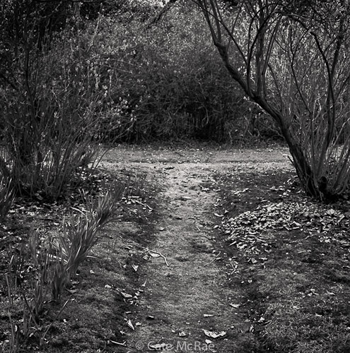 Where two paths meet © Cate McRae 2011